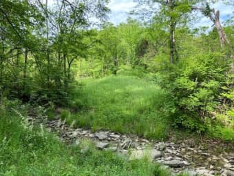  Willow Creek Road, Bracken County, KY, 41043