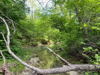  Willow Creek Road, Bracken County, KY, 41043