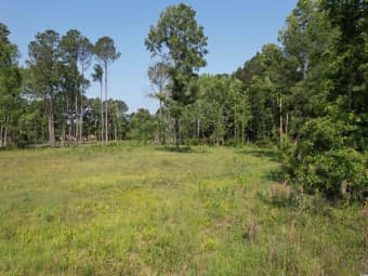 TBD Samuels Avenue, Williamsburg County, SC, 29590