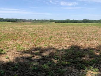0000 West 399th Street, La Cygne, KS, 66040
