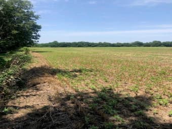 0000 West 399th Street, La Cygne, KS, 66040