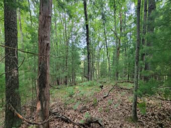 VL South Trail of the Lk, Baldwin, MI, 49304