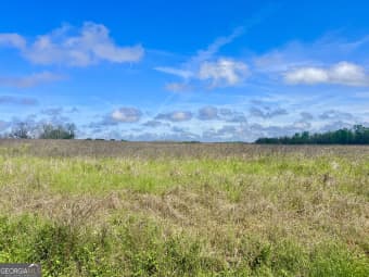  Steve Jackson Road, Unadilla, GA, 31091