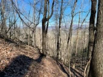735 Falcon Heights, Dawson County, GA, 30534