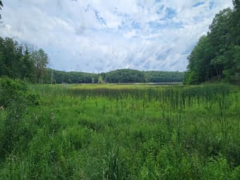 VL South Trail of the Lk, Baldwin, MI, 49304