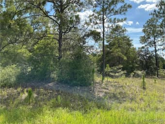 11774 North Shenandoah Way, Citrus Springs, FL, 34433