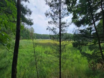 VL South Trail of the Lk, Baldwin, MI, 49304