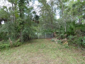 1275 Davidson Drive, Pierson, FL, 32180