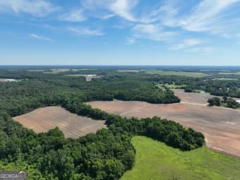 V/L East Beacham Avenue, Unadilla, GA, 31091