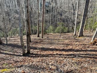 6126 Fire Pink Lane, Dawson County, GA, 30143