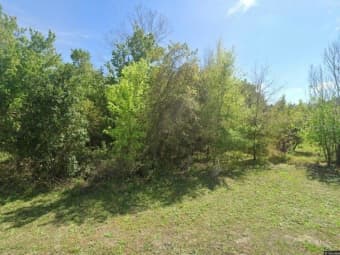 28802 Hibiscus Avenue, Lake Kathryn, FL, 32767