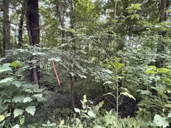 35 Suncrest Drive, Somerset, KY, 42501
