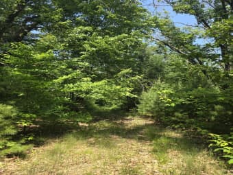 East Michland Path, White Cloud, MI, 49349
