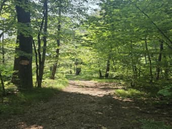  East Michland Path, White Cloud, MI, 49349