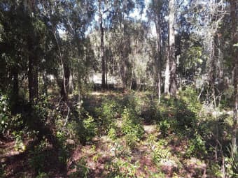 13231 Bissell Drive, Punta Gorda, FL, 33955