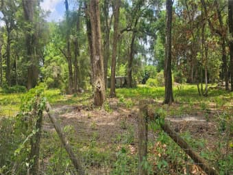 17693 Southeast 30th Avenue, Summerfield, FL, 34491