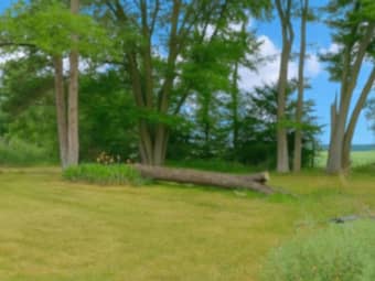 36130 Zilm Road, Will County, IL, 60481