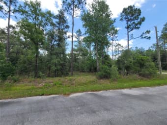  NW Chestnut Ave, Dunnellon, FL, 34431