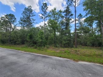  NW Chestnut Ave, Dunnellon, FL, 34431