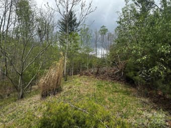 00 Ashland Mountain Road, Bakersville, NC, 28705