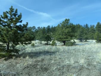 230 CR-326, Custer County, CO, 81252