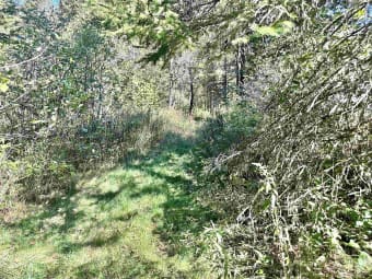 TBD South Johnson Road, Bessemer, MI, 49911