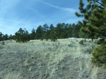230 CR-326, Custer County, CO, 81252