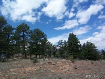 859 Vista De Aspen Rd, Westcliffe, CO, 81252