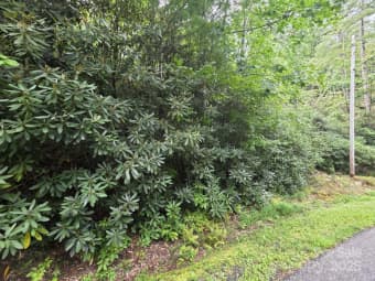 12/12 Deer Ridge Trail, Marion, NC, 28752