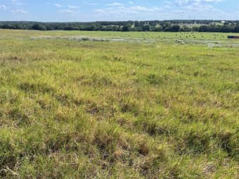 3688 North FM 1655, Alvord, TX, 76225