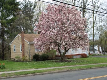 2337 Stanley St, New Britain, CT, 06053
