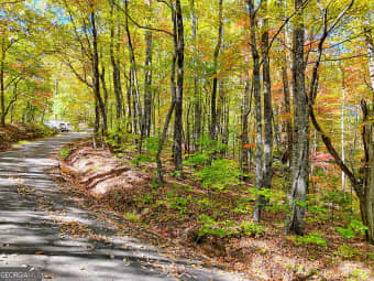 LOT 4/4 Charmont Drive, Tiger, GA, 30576