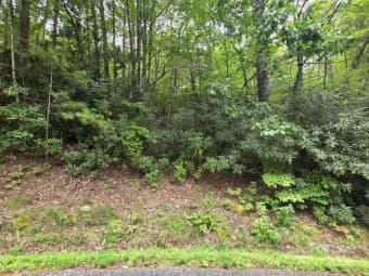 12/12 Deer Ridge Trail, Marion, NC, 28752