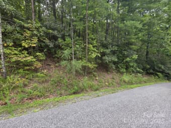 12/12 Deer Ridge Trail, Marion, NC, 28752