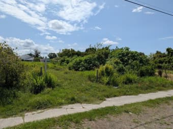 7007 North Manhattan Avenue, Egypt Lake-Leto, FL, 33614
