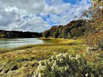 45 Mill Pond Rd, Orleans, MA, 02653