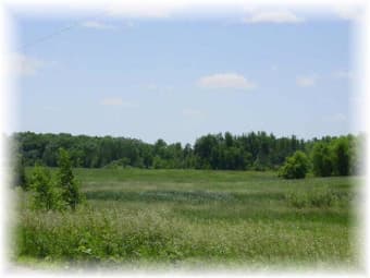 XXXXX 17th Avenue East, Clearwater, MN, 55320
