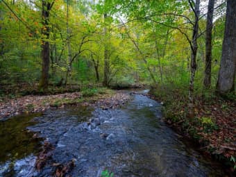  Yellow Creek Rd, Robbinsville, NC, 28771