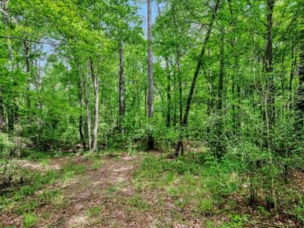 5700 FM 2497, Lufkin, TX, 75904