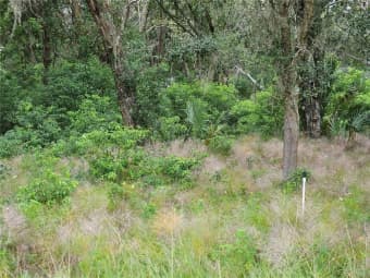  Blackburn Rd, Pierson, FL, 32180