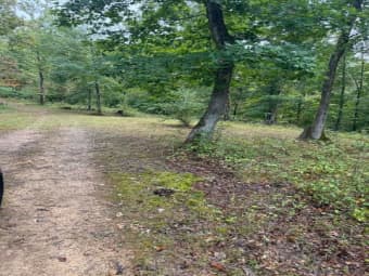 15709 Trace Road, Rush, KY, 41168
