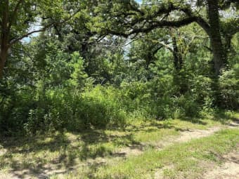 3100 North John Redditt Drive, Lufkin, TX, 75904