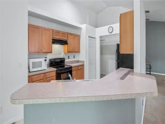 316 Red Kite Drive, Groveland, FL, 34736