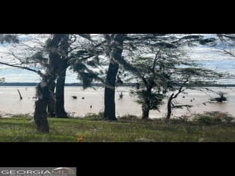 Lot 9/TBD Flintview Drive, Cordele, GA, 31015