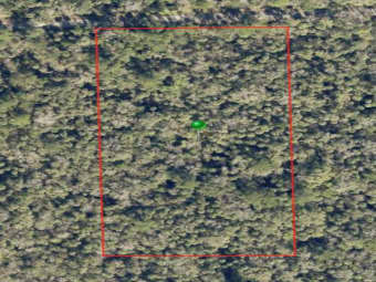  Shell Harbor Road, Pierson, FL, 32180