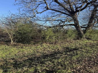 374 Hill Road, Panola County, TX, 75633