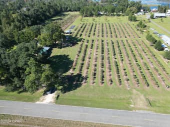 7772 Howell Rd, Sneads, FL, 32460