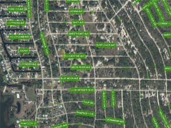 236 Moon River Avenue, Lake Placid, FL, 33852