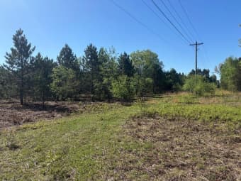 Parcel A Spruce Avenue, White Cloud, MI, 49349