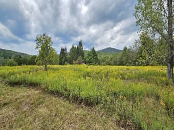 18 Casale Lane, Margaretville, NY, 12455